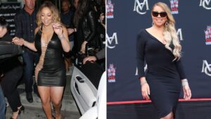 mariah carey sleeve gastronomie