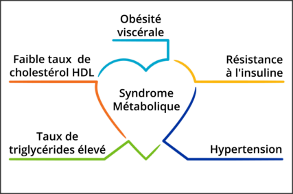 syndrome metabolique